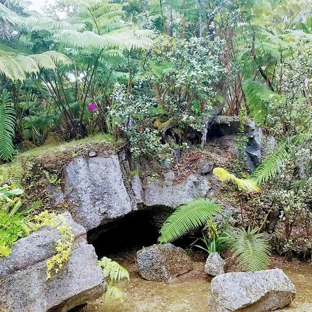 'Ama'U Lani Cottage โวลคาโน ภายนอก รูปภาพ