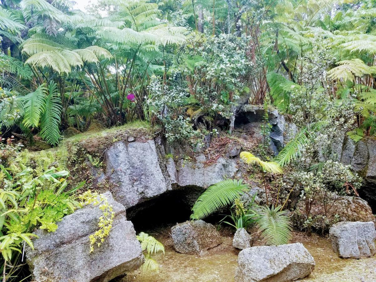 'Ama'U Lani Cottage โวลคาโน ภายนอก รูปภาพ