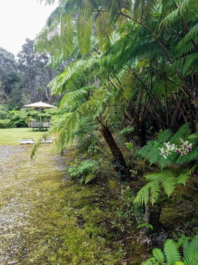 'Ama'U Lani Cottage โวลคาโน ภายนอก รูปภาพ